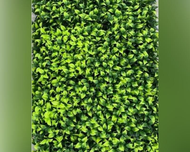 related-product